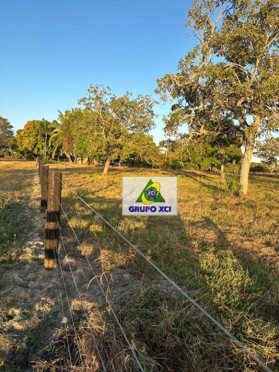 Fazenda à venda, 10120000M2 - Foto 12