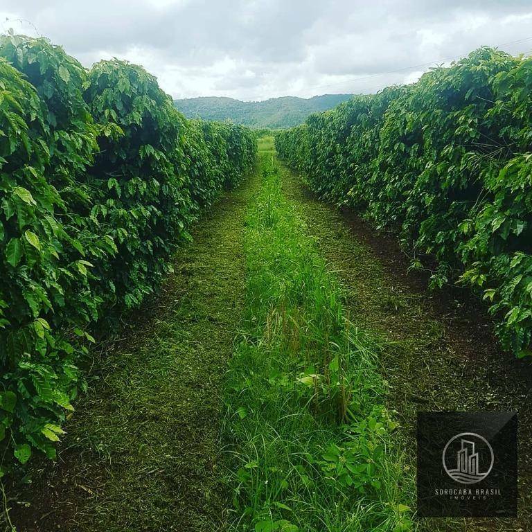 Fazenda à venda com 20 quartos, 7986000M2 - Foto 9