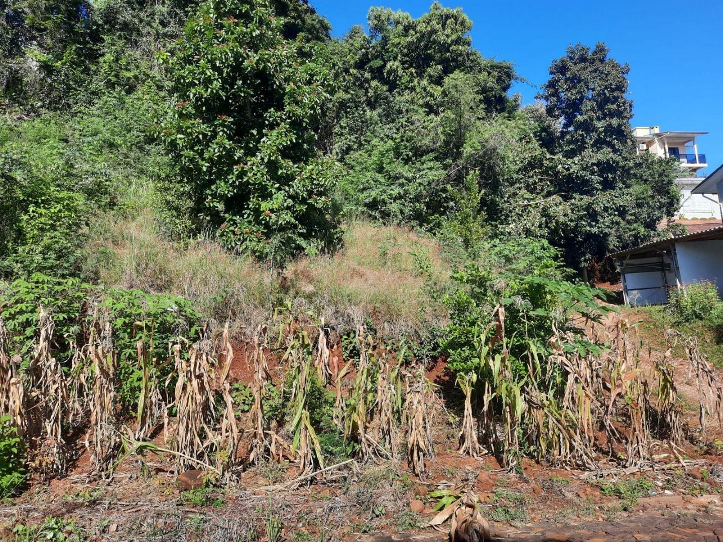 Terreno à venda, 450m² - Foto 10