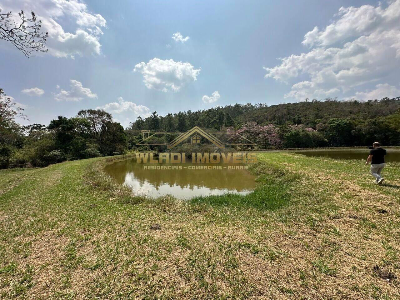 Fazenda à venda com 3 quartos, 14m² - Foto 16