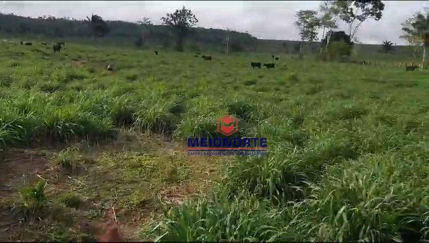 Fazenda-Sítio-Chácara, 10000 m² - Foto 2