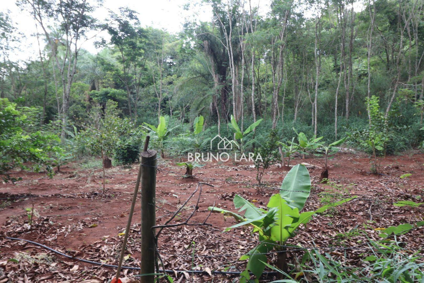 Casa de Condomínio à venda com 3 quartos, 400m² - Foto 74