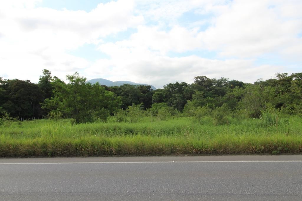 Terreno à venda, 20000m² - Foto 3