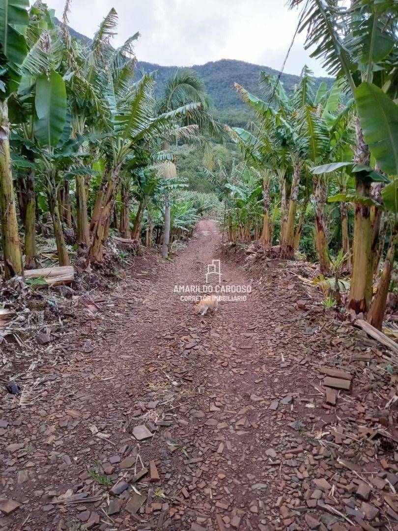Chácara à venda com 3 quartos, 25000M2 - Foto 21