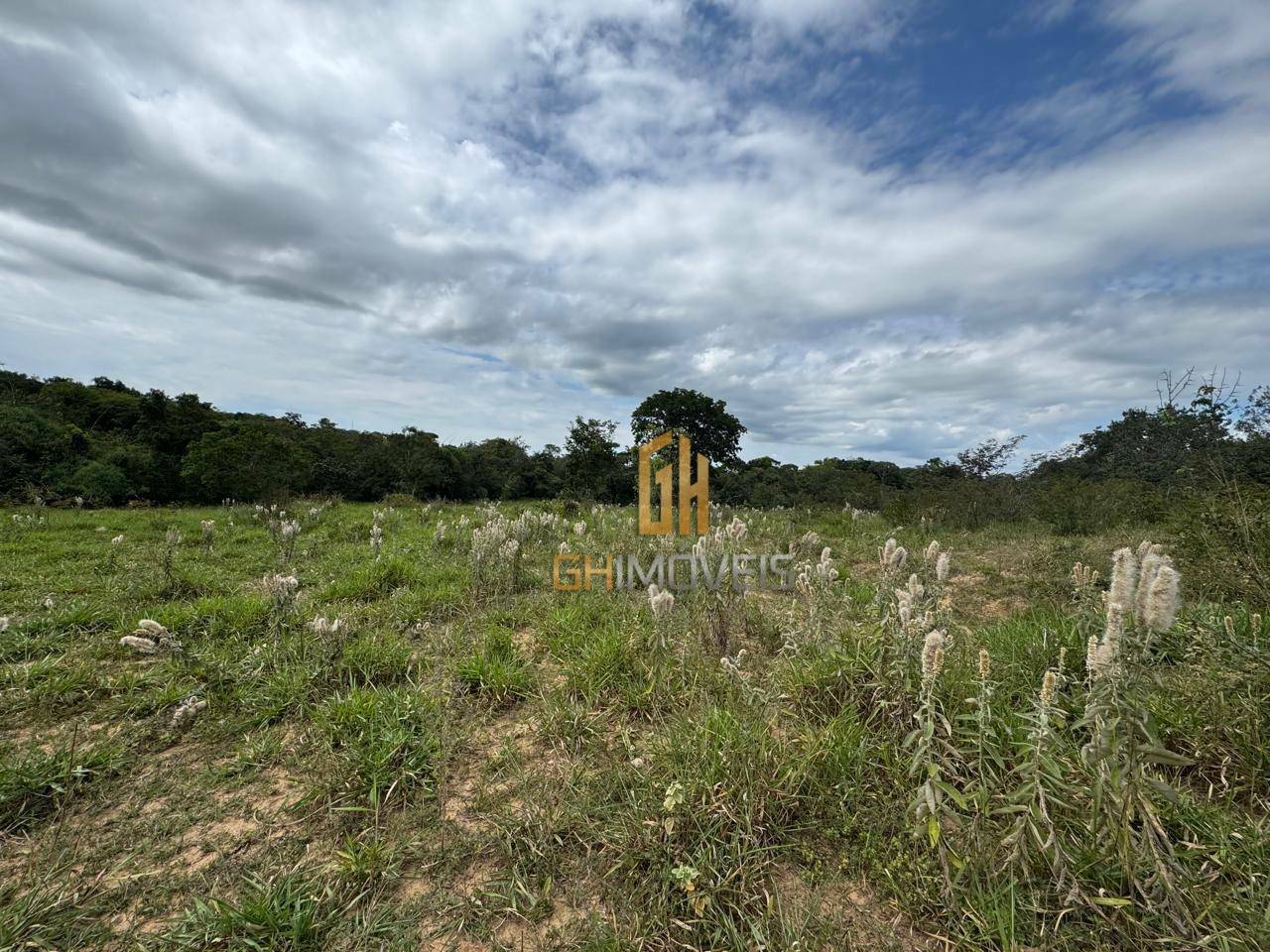 Fazenda à venda, 48400M2 - Foto 5