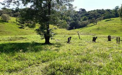 Fazenda à venda com 2 quartos, 210000m² - Foto 21