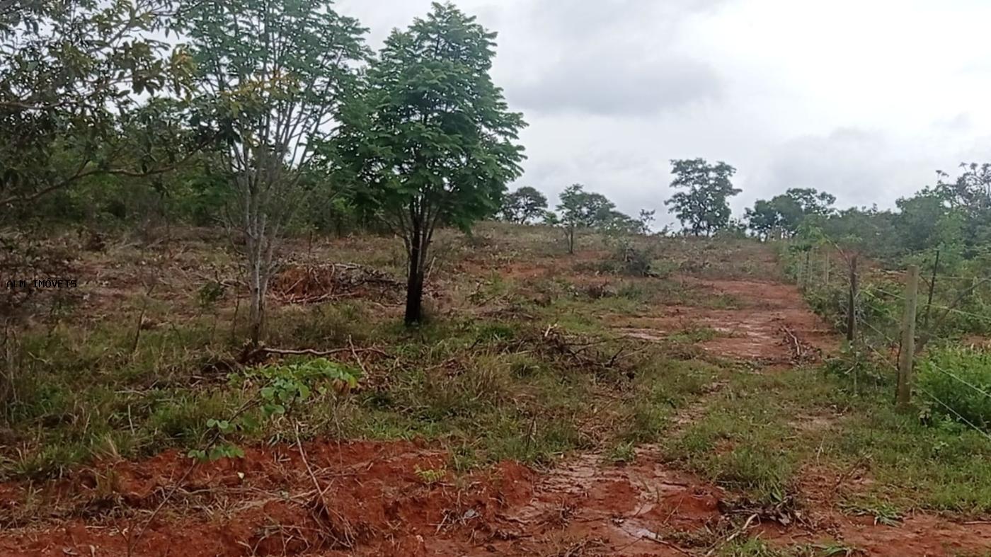 Chácara à venda, 26000m² - Foto 18