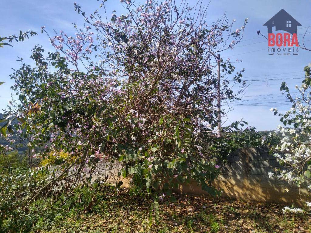 Terreno à venda, 1200M2 - Foto 11