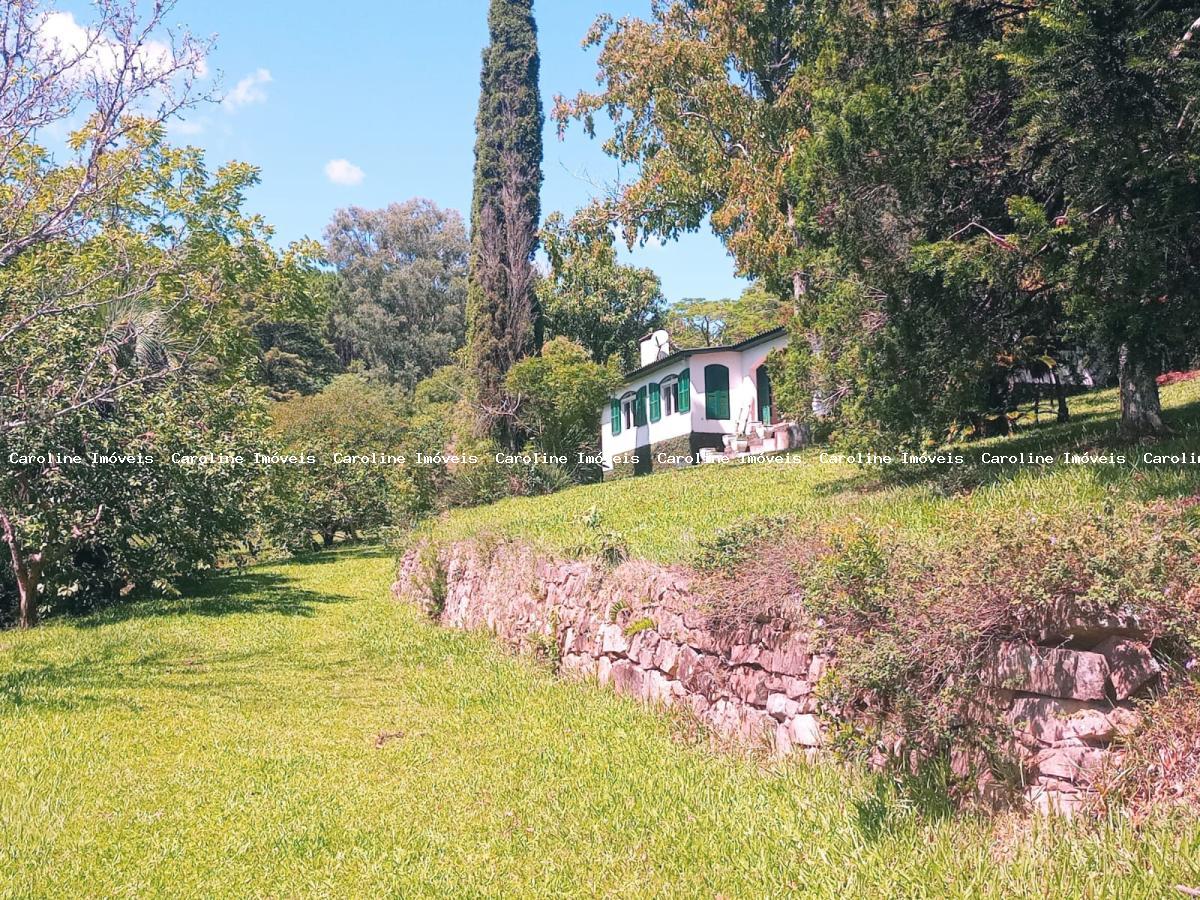 Fazenda-Sítio-Chácara, 80 hectares - Foto 1