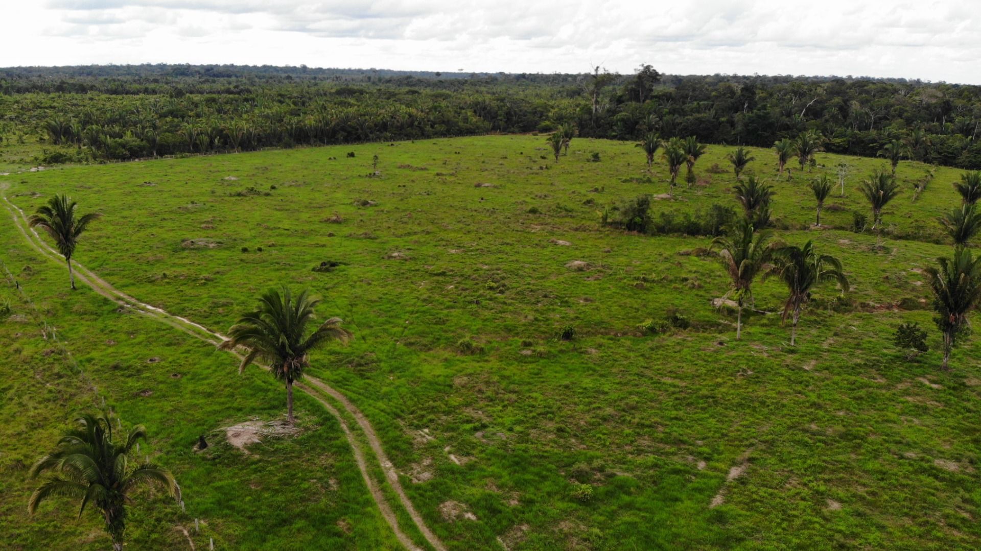 Fazenda à venda, 4840000M2 - Foto 5