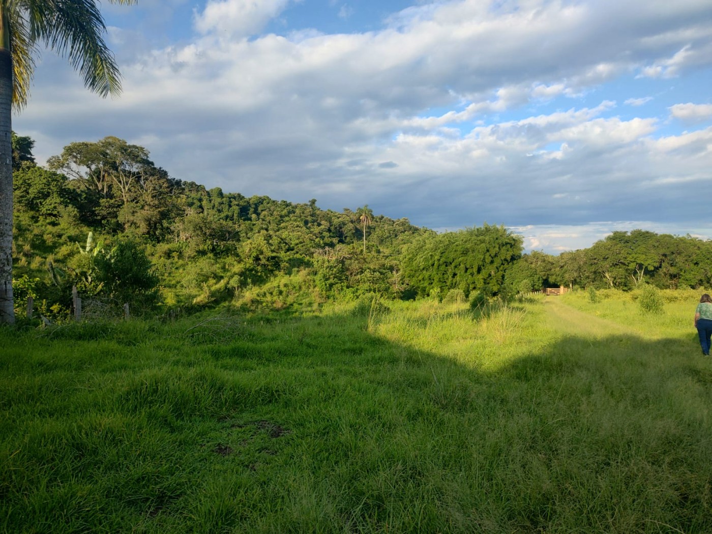 Sítio, 24 m² - Foto 3