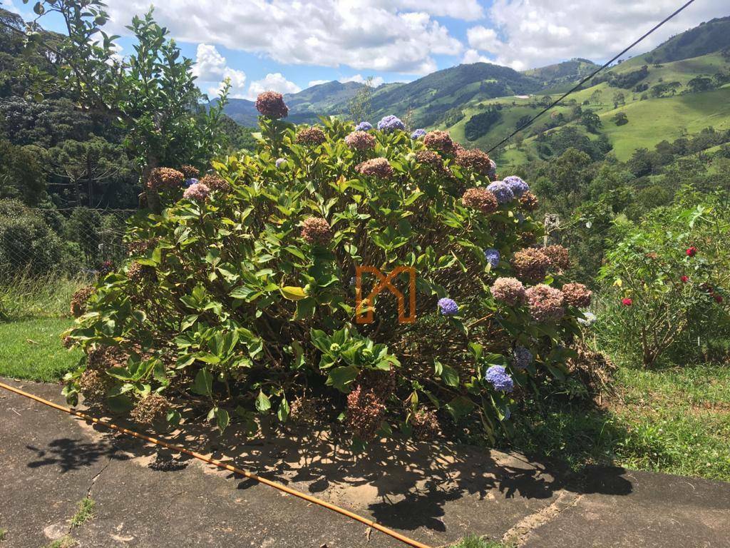 Fazenda à venda com 4 quartos, 3030000M2 - Foto 22