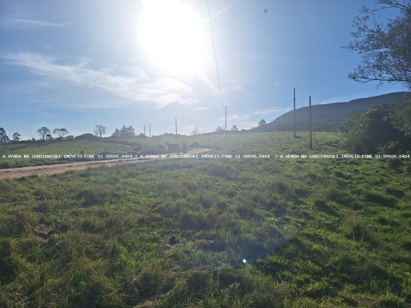 Loteamento e Condomínio à venda, 28000m² - Foto 3