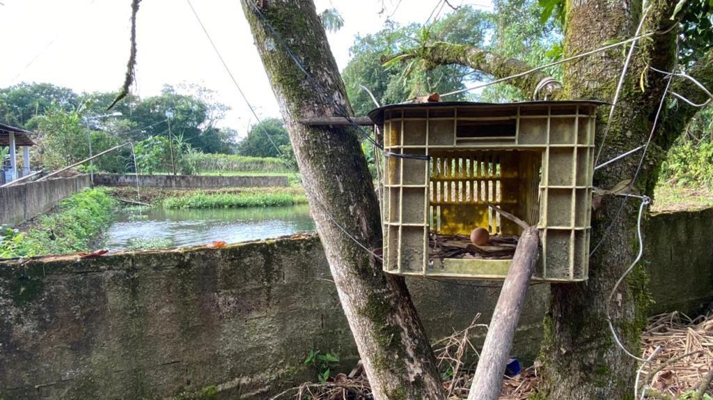 Fazenda à venda com 3 quartos, 12000m² - Foto 51