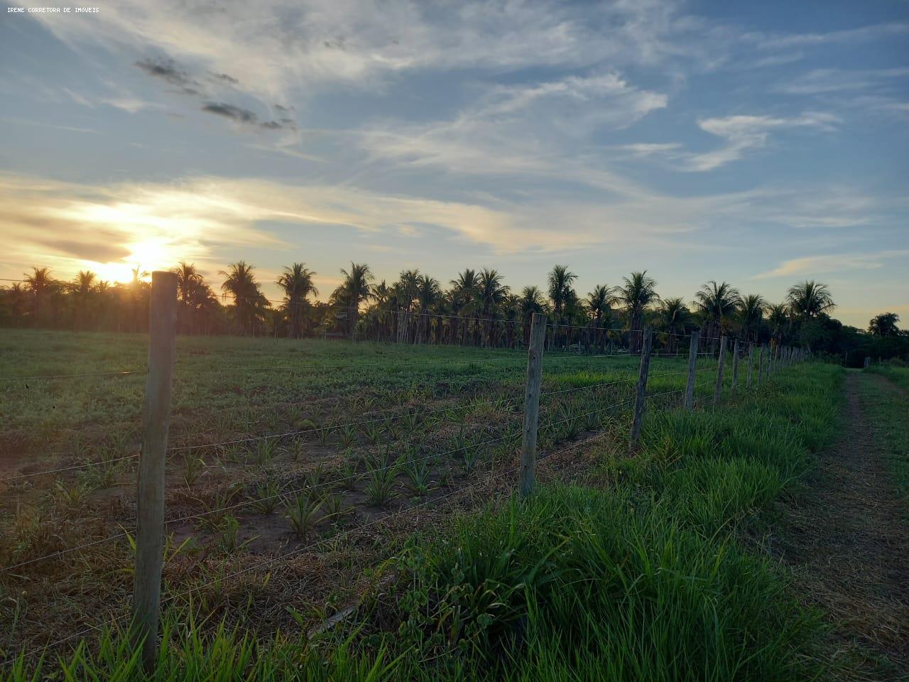 Fazenda à venda, 107000m² - Foto 2