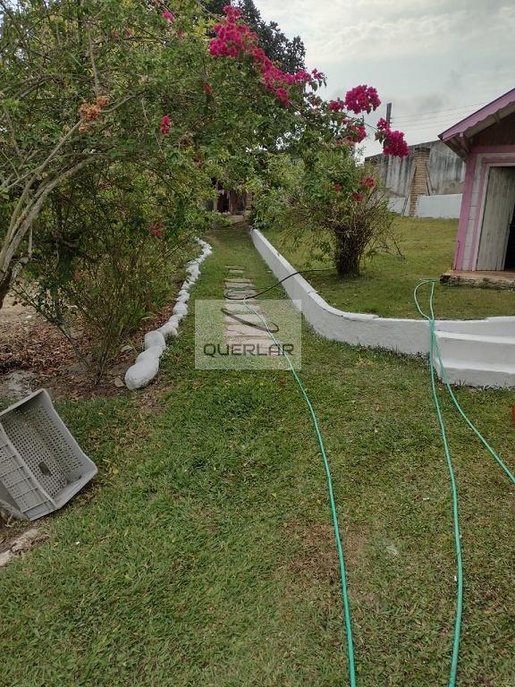 Fazenda à venda com 4 quartos, 4300m² - Foto 19