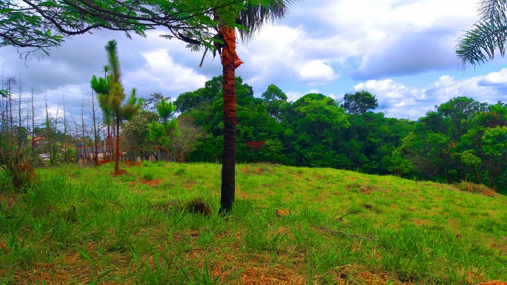 Terreno à venda, 1300m² - Foto 16