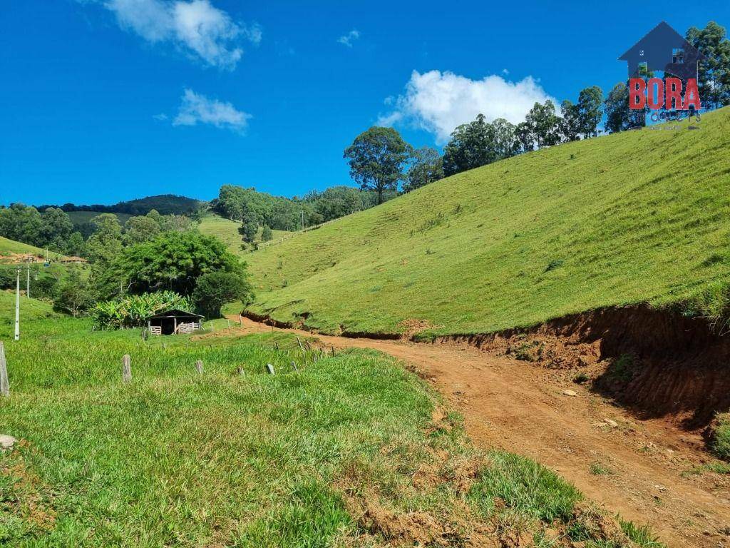 Fazenda à venda com 2 quartos, 1113200M2 - Foto 12