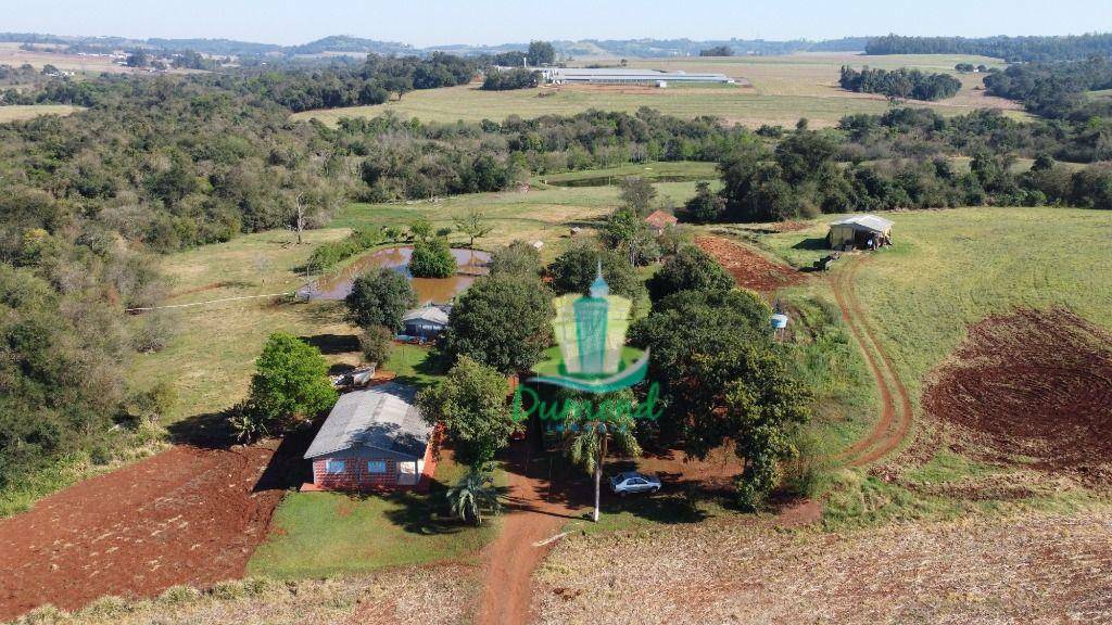 Chácara, 6 quartos, 12 hectares - Foto 2