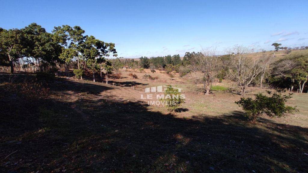 Sítio, 9 quartos, 2 hectares - Foto 66