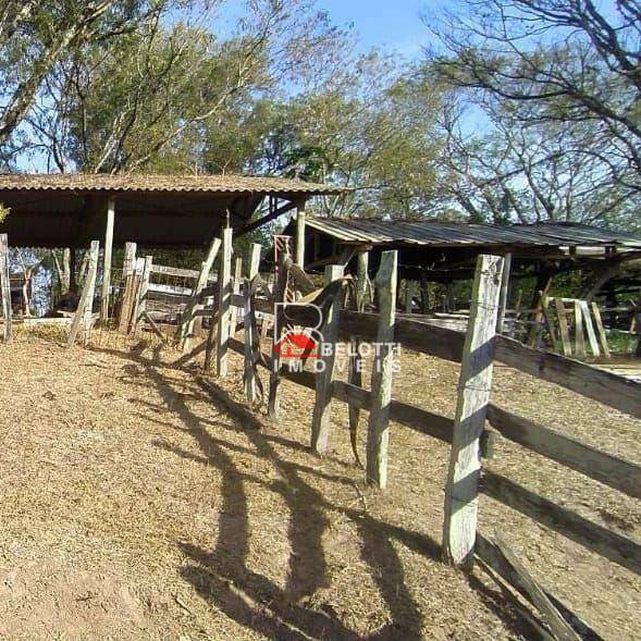 Sítio, 2 quartos, 3 hectares - Foto 3