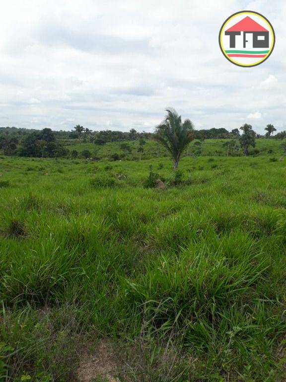 Fazenda à venda, 1597200M2 - Foto 6