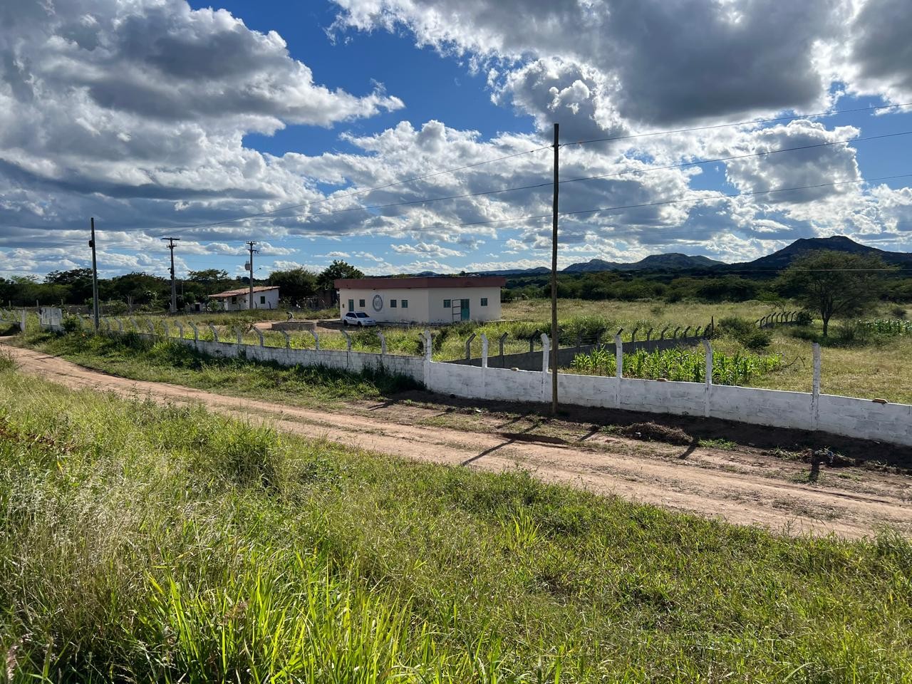 Sítio à venda com 2 quartos, 5000m² - Foto 8