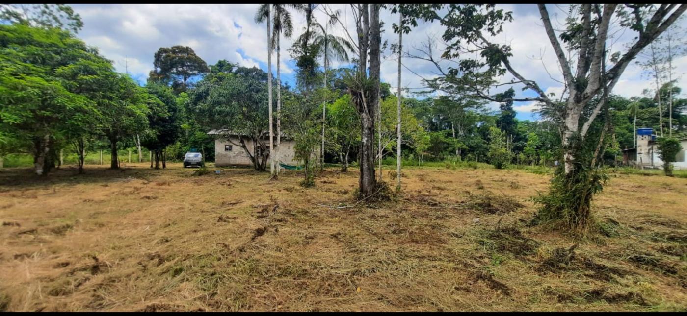 Fazenda à venda com 2 quartos, 3500m² - Foto 9