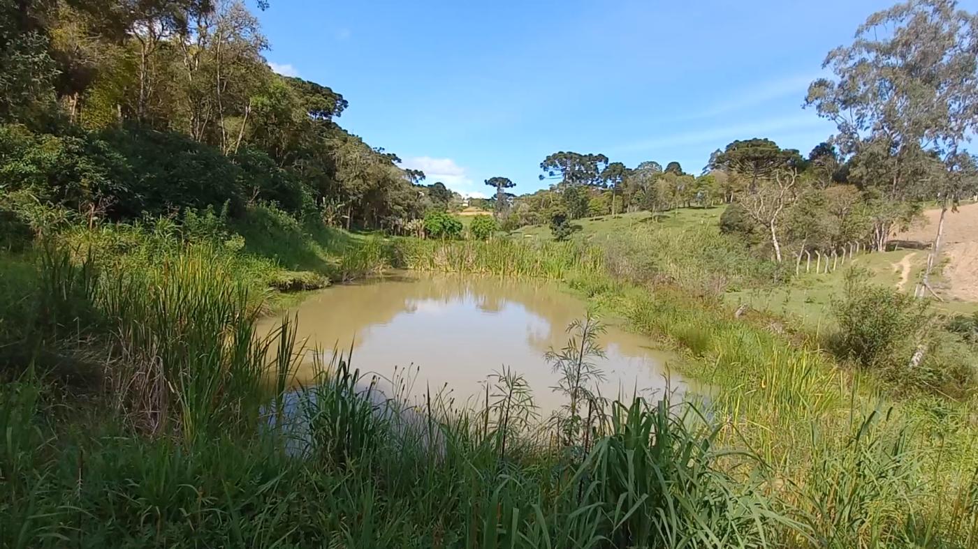 Fazenda à venda, 9075m² - Foto 23