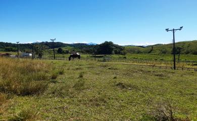 Fazenda à venda com 2 quartos, 210000m² - Foto 21