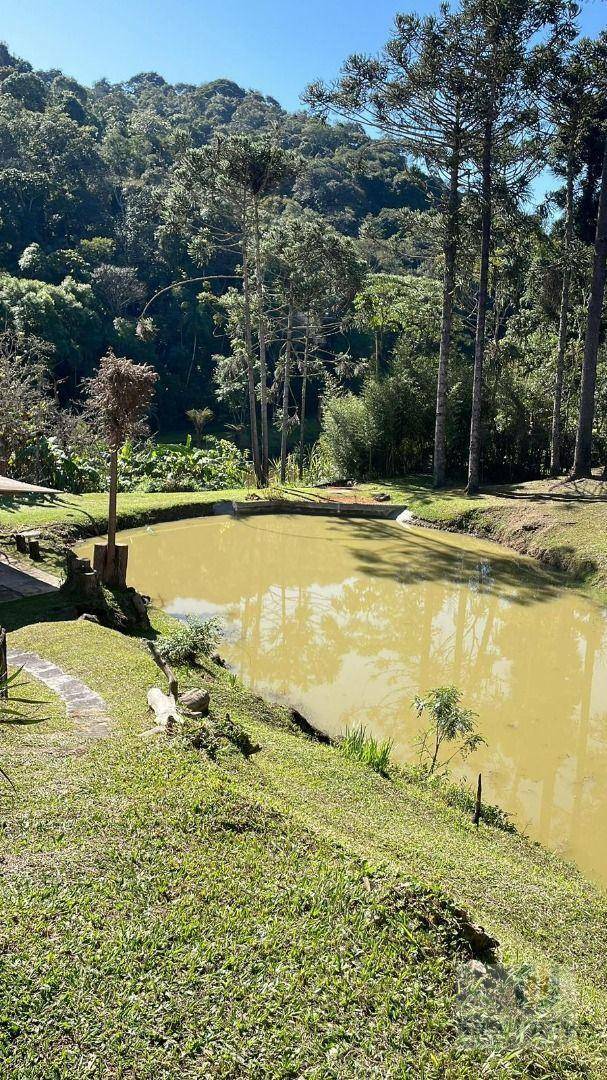 Chácara à venda com 6 quartos, 338800M2 - Foto 4