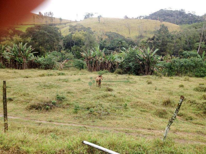 Fazenda à venda com 4 quartos, 240m² - Foto 10