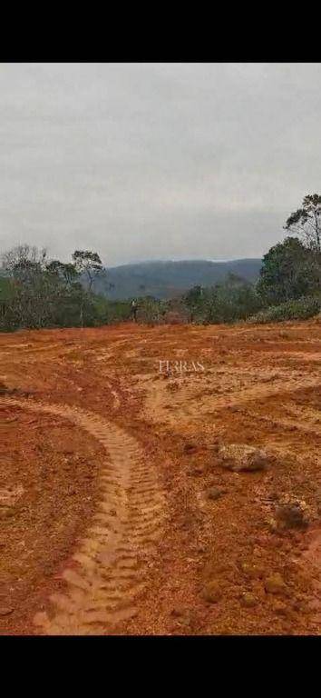 Loteamento e Condomínio, 5000 m² - Foto 1