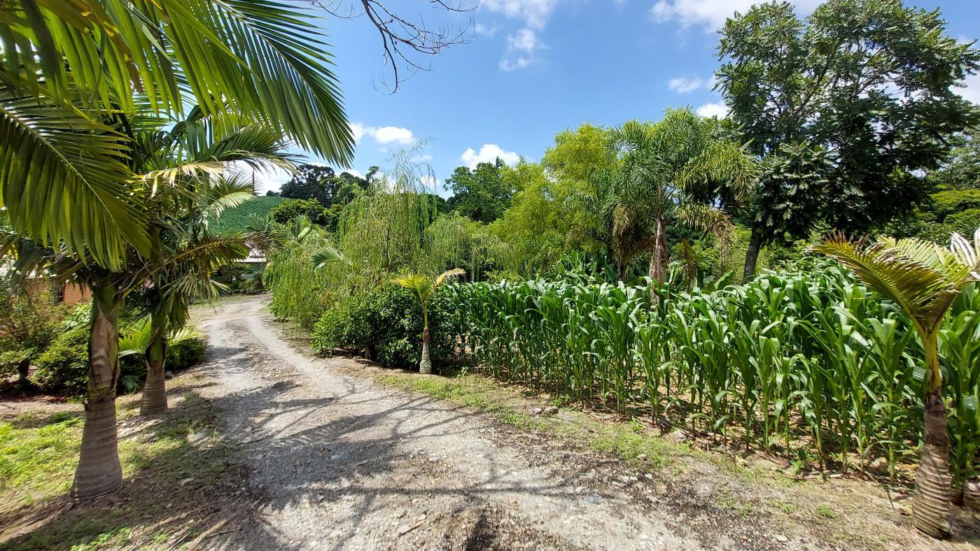 Fazenda à venda com 2 quartos, 37800m² - Foto 39