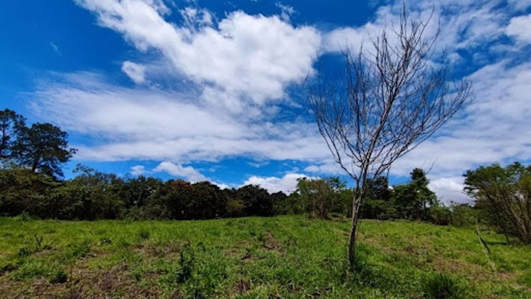 Terreno à venda, 2600M2 - Foto 5