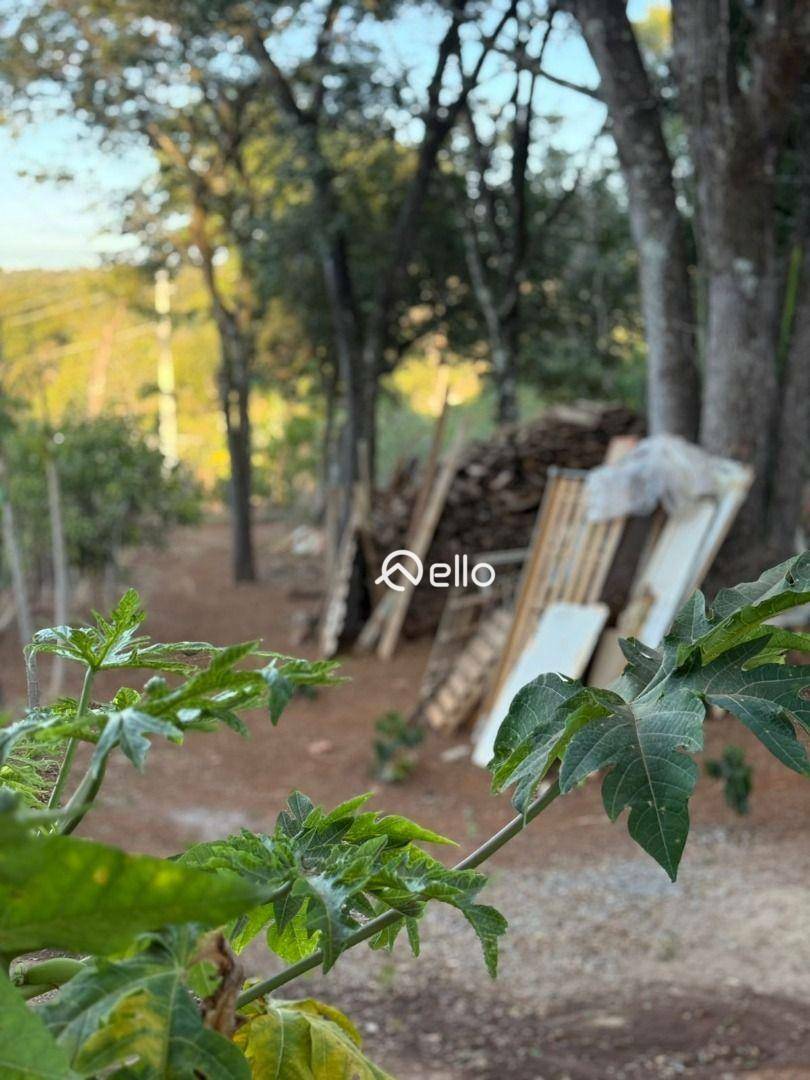 Sítio, 2 quartos, 10000 m² - Foto 36