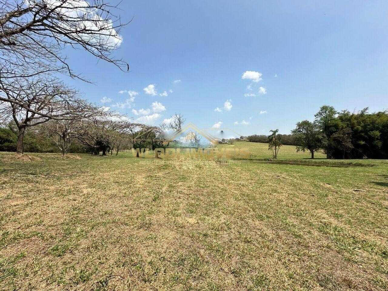 Fazenda à venda com 3 quartos, 14m² - Foto 9