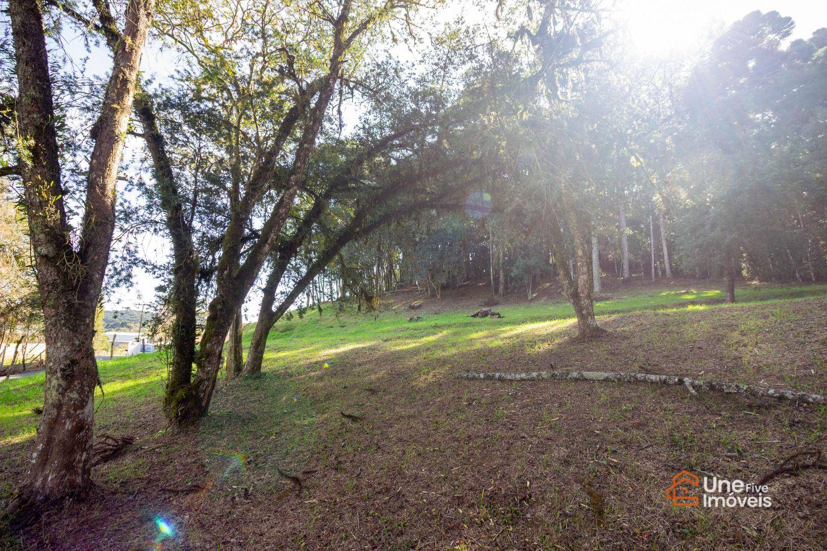 Terreno, 3799 m² - Foto 10