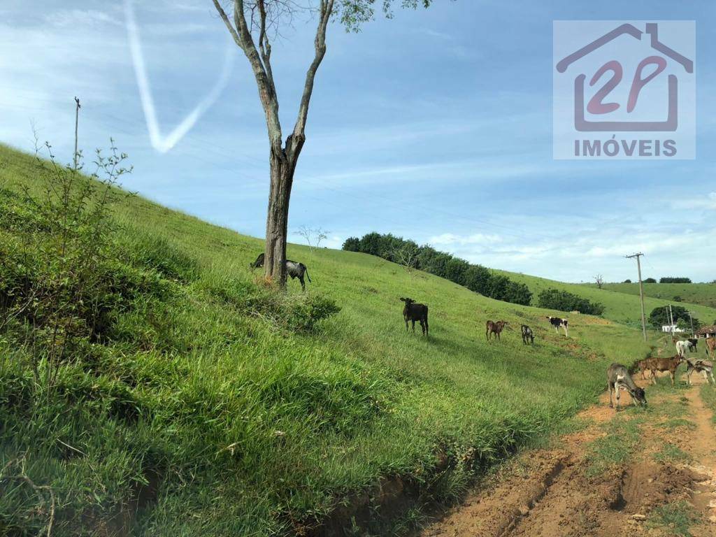 Fazenda à venda com 2 quartos, 1984400M2 - Foto 7