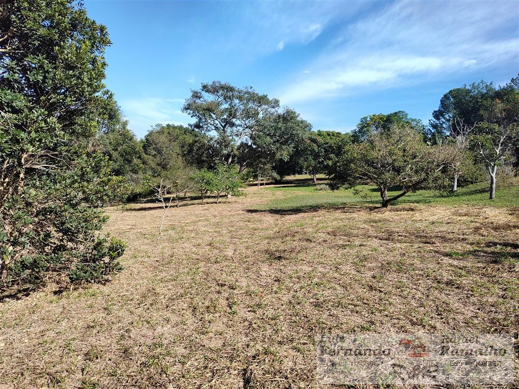 Fazenda à venda com 2 quartos, 16000m² - Foto 37