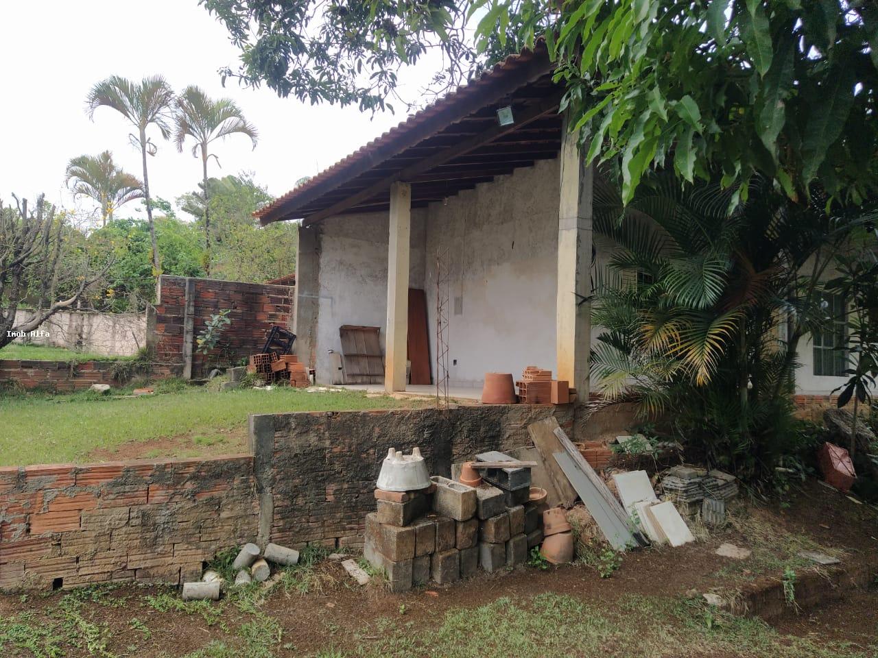 Fazenda à venda com 1 quarto, 1000m² - Foto 6