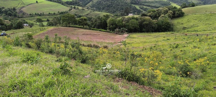 Sítio, 7 hectares - Foto 13