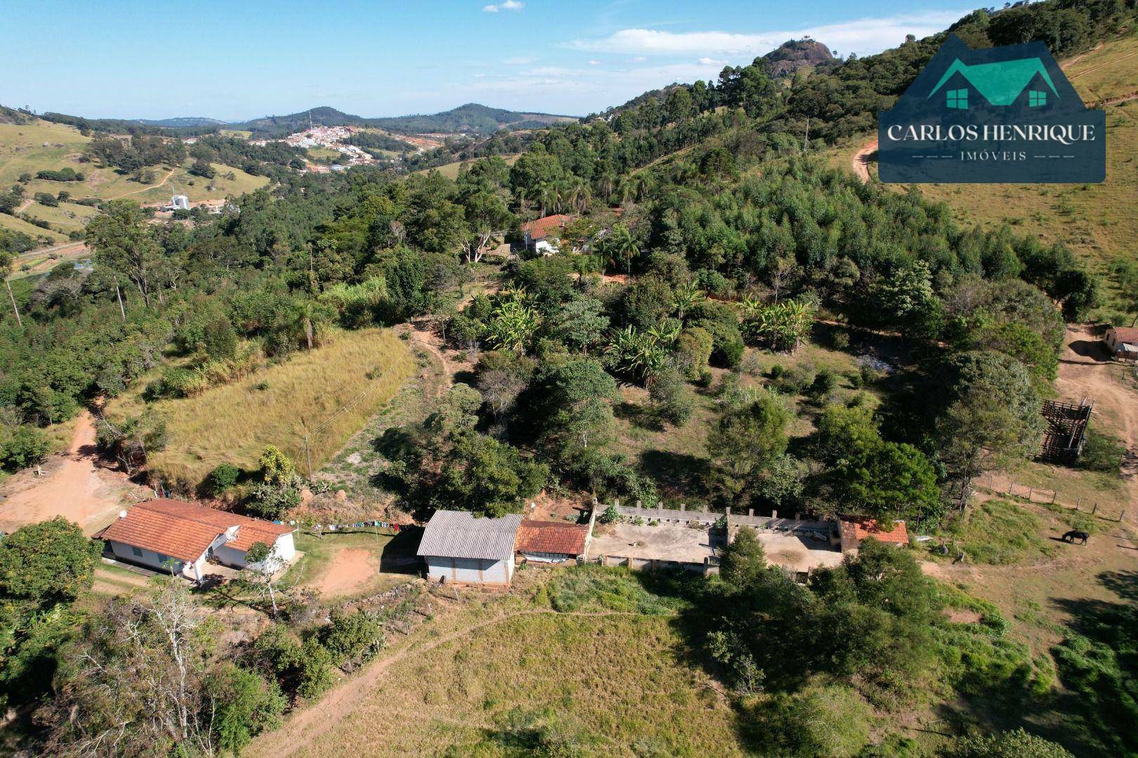 Fazenda à venda com 8 quartos, 700m² - Foto 3