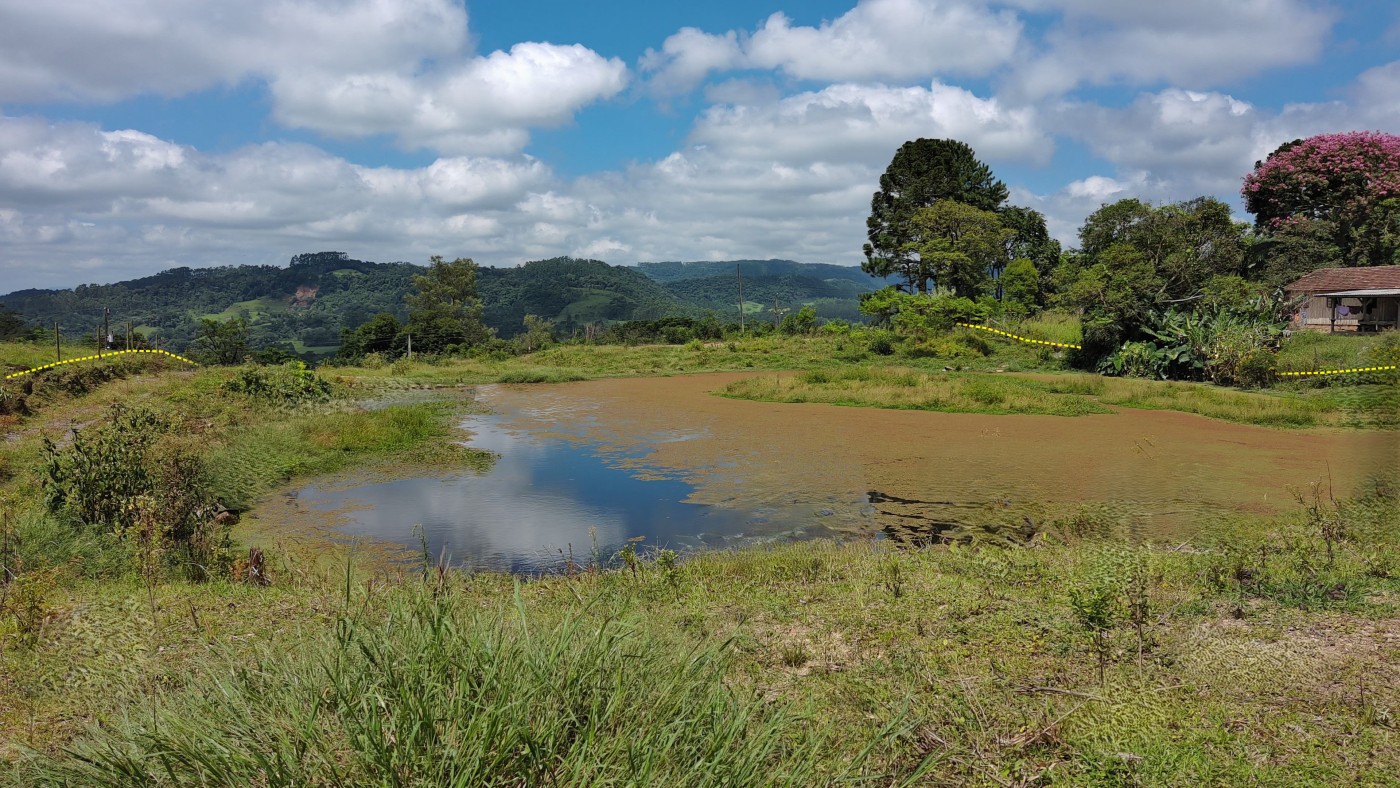 Chácara à venda, 10000m² - Foto 22