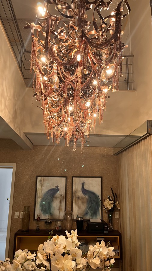 Casa de Condomínio à venda com 5 quartos, 393m² - Foto 2