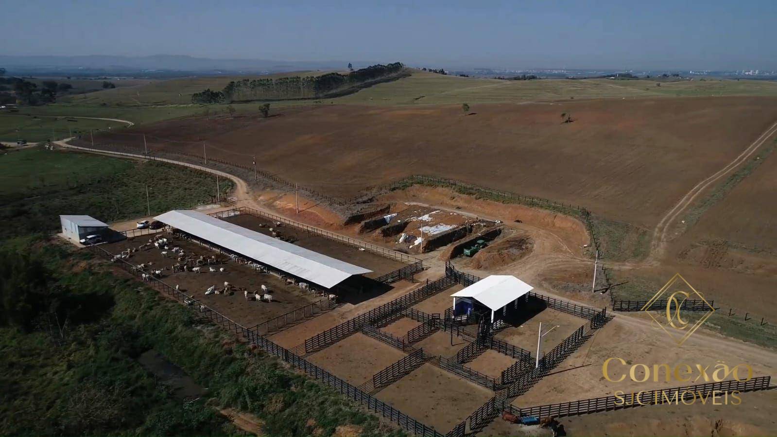 Fazenda, 257 hectares - Foto 9