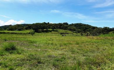 Sítio à venda com 2 quartos, 210000m² - Foto 15