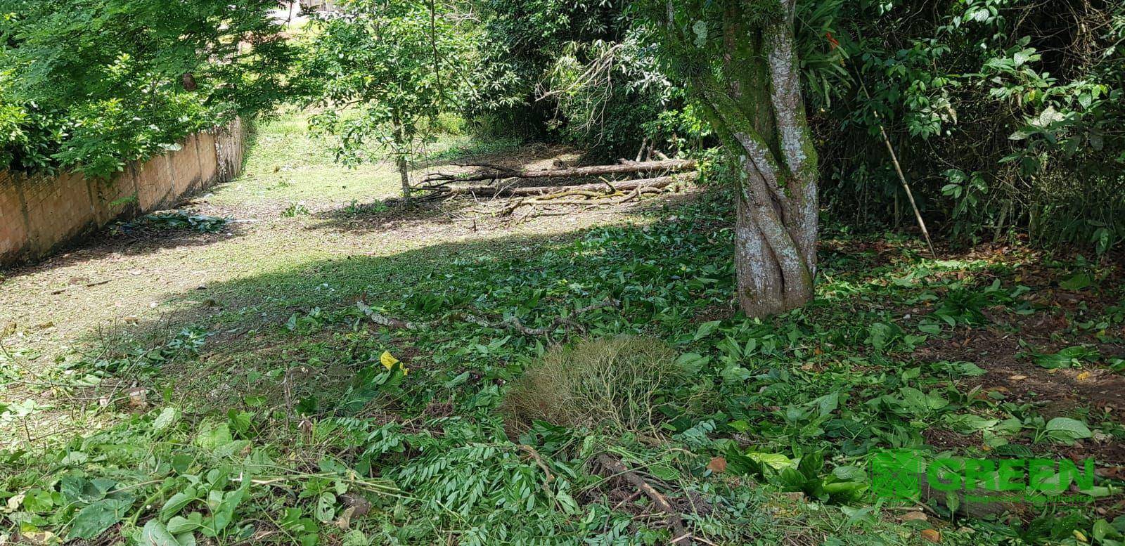 Terreno, 748 m² - Foto 4