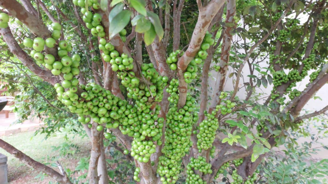 Fazenda à venda com 2 quartos, 10m² - Foto 56