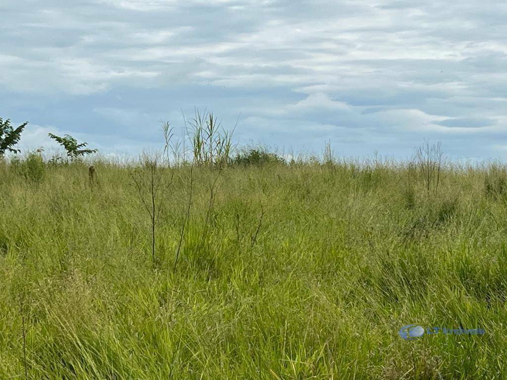 Terreno à venda, 1000M2 - Foto 2